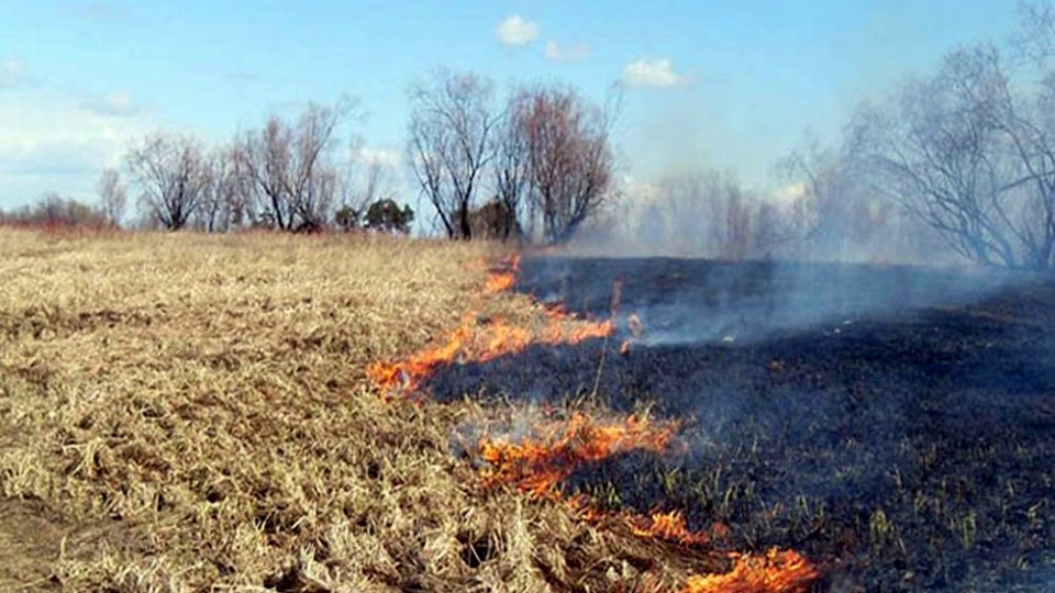 В весенне-летний период значительно увеличивается количество пожаров.Информация ОГПС Бокситогорского района.