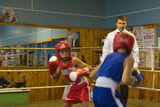 Соревнование по боксу, посвященное Дню города Пикалево.