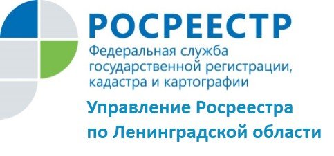 Странице Управления Росреестра по Ленинградской области в ВКонтакте 1 год