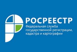 В Управлении Росреестра по Ленинградской области прошел Единый день консультаций.