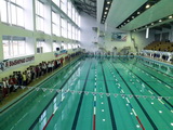 В Пикалеве прошло Первенство Бокситогорского района по плаванию в рамках Всероссийской акции «Я выбираю спорт!»
