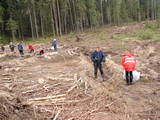Николай Пустотин принял участие в акции «Сохраним лес» в Бокситогорском районе.
